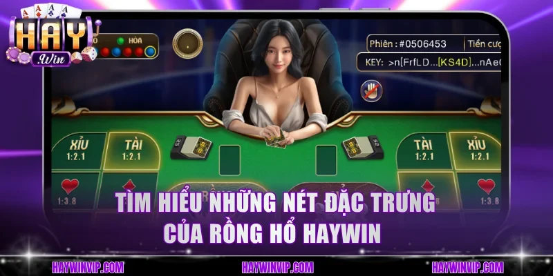 Tìm hiểu những nét đặc trưng của Rồng Hổ HayWin 